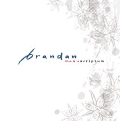 www.brandan-band.de