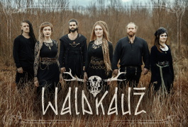 Waldkauz - Single "Schwingen" 2021